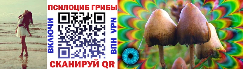 Псилоцибиновые грибы MAGIC MUSHROOMS  Мензелинск 
